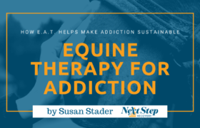 Equine Assisted Therapy - What You Should Know: What Is? How It Works? How to Choose? Best for Who?