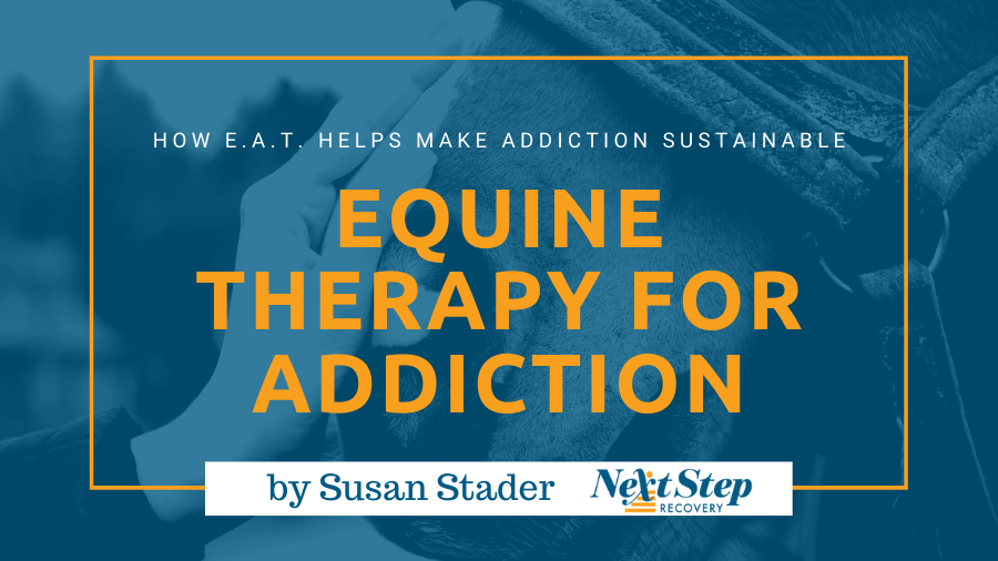 Equine Assisted Therapy for Addiction Care: What is it? How Does it Work?