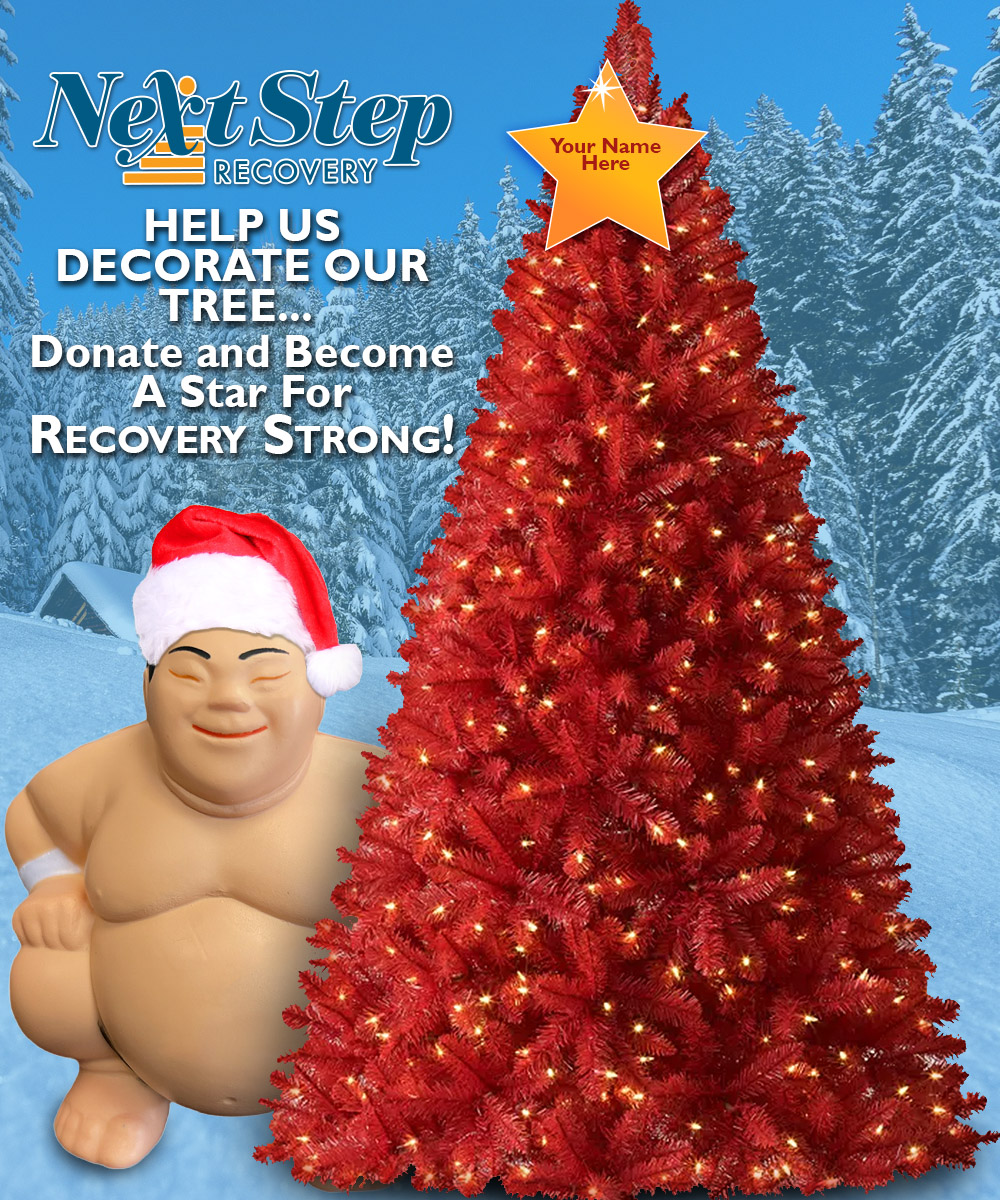 holiday tree with sumo wrestler and donation stars